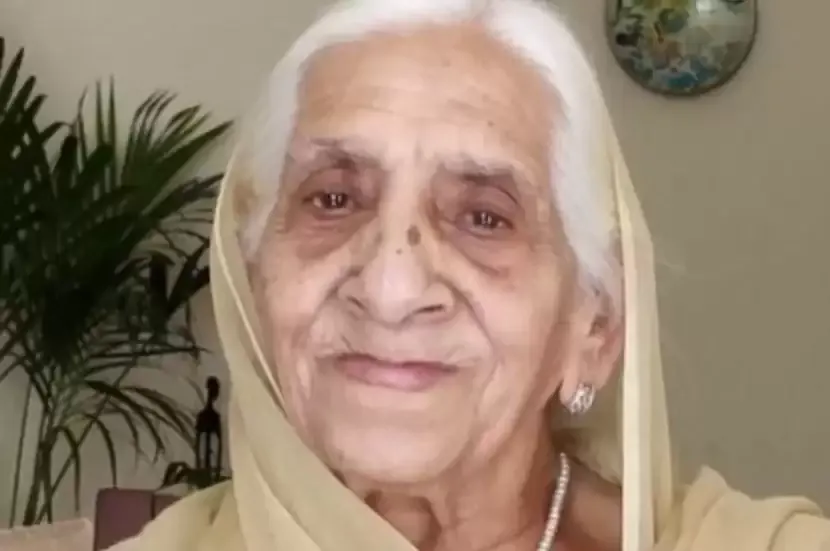 हिम्मत और हुनर का दूसरा नाम ‘बर्फी वाली दादी’