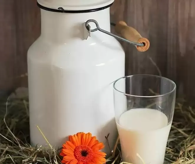 दुग्ध उत्पादों की होम डिलीवरी सेवा ‘नंदिनी’ की शुरुआत