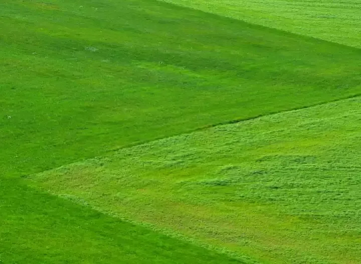 हेसरघट्टा संरक्षण रिजर्व परियोजना का प्रस्ताव खारिज