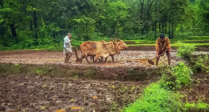 ग्रामीण अर्थव्यवस्था को तकनीक से मिले ताकत