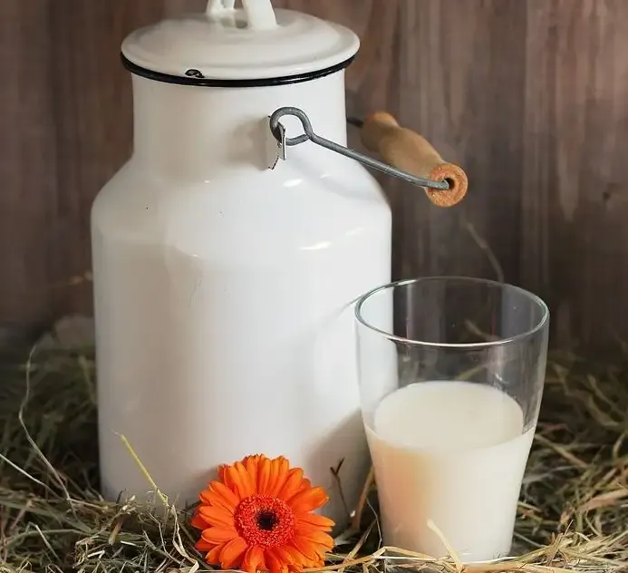 आंध्र प्रदेश को दूध की आपूर्ति रोकेगा कर्नाटक, क्या है वजह?