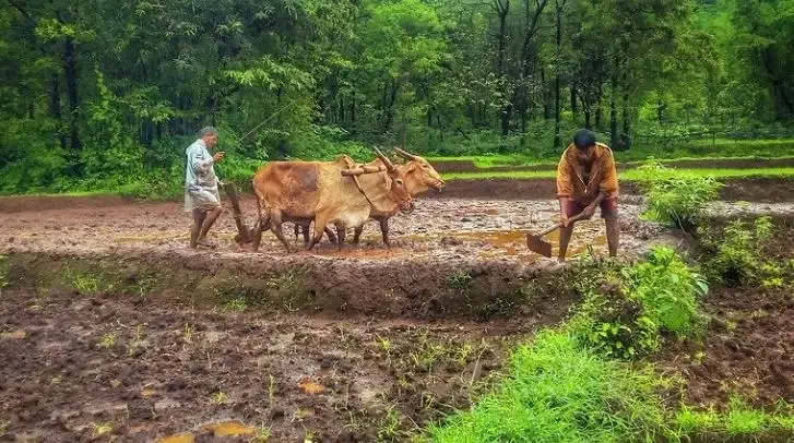तीनों विवादास्पद कृषि कानूनों को निरस्त करने संबंधी विधेयक को लोकसभा में मंजूरी