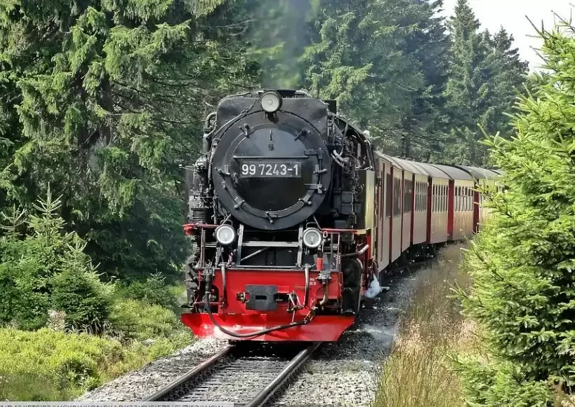 कोयंबटूर: नीलगिरि माउंटेन रेल सेवाएं 14 तक रद्द