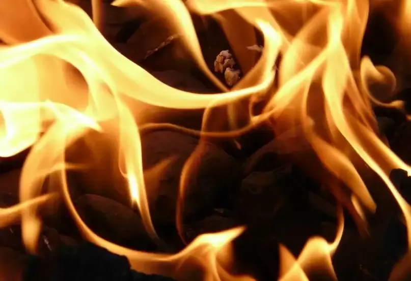 मुंबई: बहुमंजिला इमारत में भीषण आग लगने से दो लोगों की मौत, 17 घायल