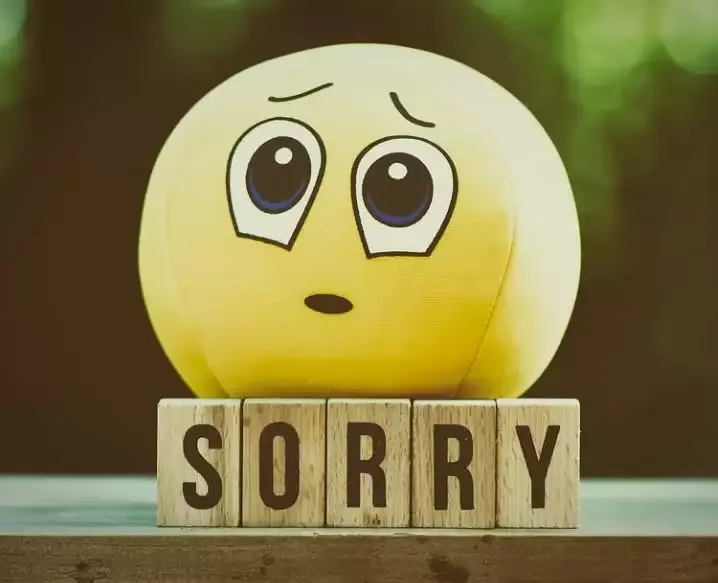 कश्मीर मामला: अलगाववादियों के समर्थन में टिप्पणी के बाद नर्म पड़े डोमिनोज, होंडा के तेवर, माफी मांगी