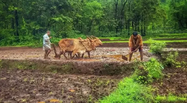 उच्चतम न्यायालय के पैनल ने पाया: 86% किसानों ने निरस्त किए गए कृषि कानूनों का समर्थन किया था