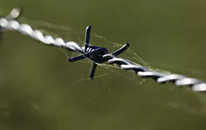 बीएसएफ ने आतंकियों की साजिश विफल की, भारत-पाक सीमा के पास हथियारों, गोला-बारूद का जखीरा बरामद