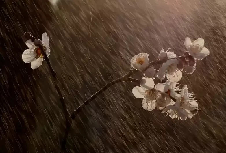 भारत में कैसा रहेगा दक्षिण-पश्चिम मानसून? आ गया आईएमडी का अनुमान