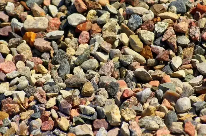 मप्र: डीजे बजाने को लेकर दलित समुदाय की बारात पर पथराव, 6 लोग गिरफ्तार