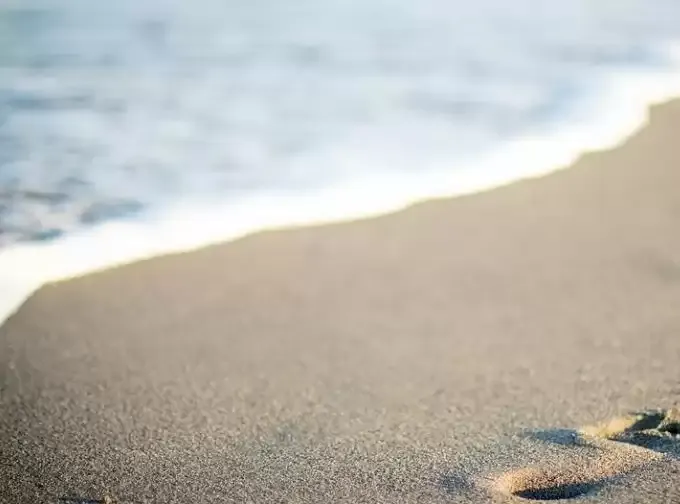 छात्रा की मौत का मामला: विरोध प्रदर्शन की अफवाह के बाद मरीना बीच पर भारी पुलिस तैनाती