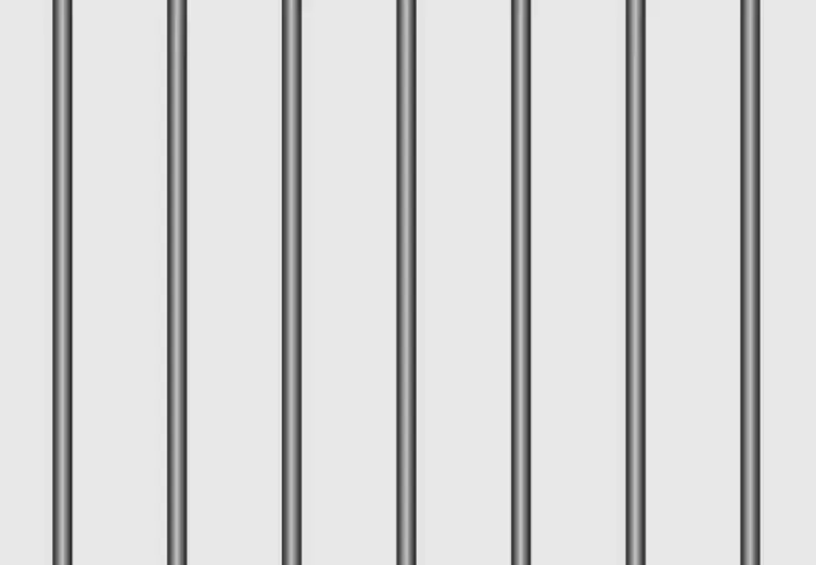 बेंगलूरु: पुलवामा हमले को लेकर आपत्तिजनक पोस्ट करने के दोषी युवक को 5 साल कैद