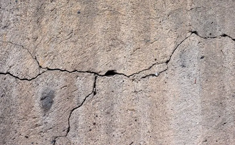 जोशीमठ में क्यों धंस रही है ज़मीन? ये वैज्ञानिक करेंगे खुलासा