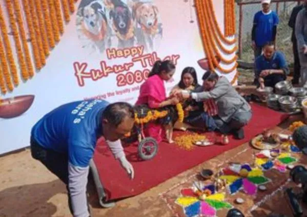 इस देश में दीपावली के दिन मां लक्ष्मी के अलावा होती है कौए और कुत्ते की पूजा