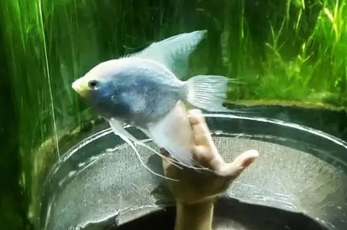 स्टार्टअप सीईओ मामला: बच्चे की हत्या की जांच के लिए पुलिस ने खंगाला कमरा, तो मिलीं ये चीजें!