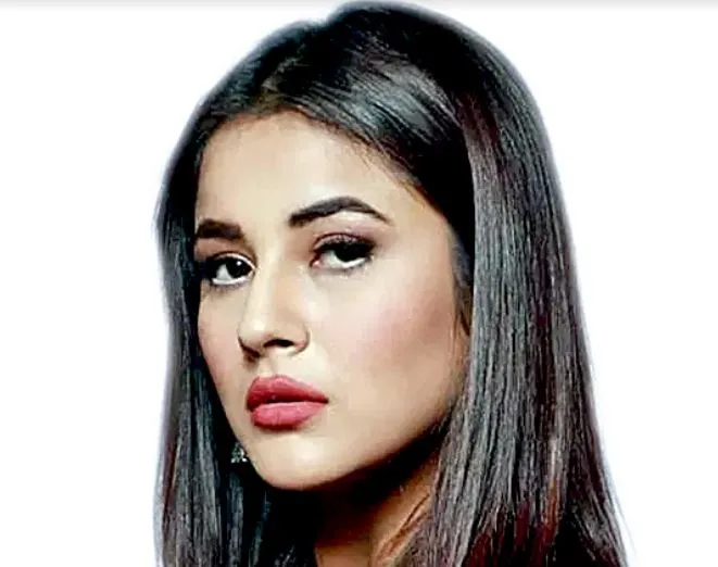 मधुबाला के लुक को पर्दे पर दोबारा जीवंत करेंगी शहनाज गिल