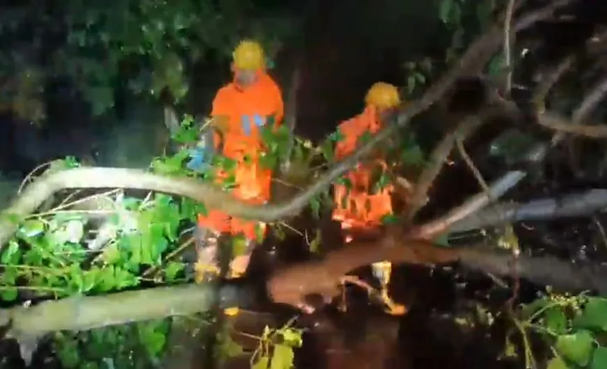 रेमल ने बांग्लादेश में मचाई तबाही, 7 लोगों की मौत, लाखों घरों में बिजली कटौती