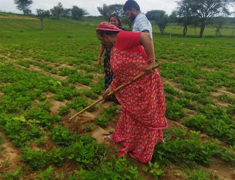 साल 2050 तक दुनिया को 60% ज्यादा खाद्यान्न उत्पादन करना होगा, एआई बनेगी बड़ी ताकत