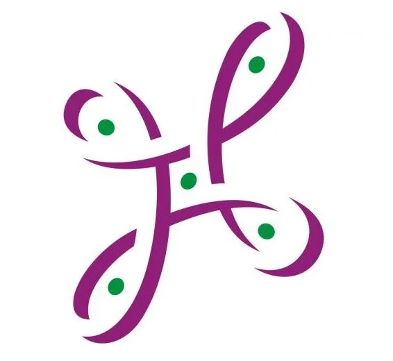 बेंगलूरु: नम्मा मेट्रो की येलो लाइन सेवाएं सोमवार सुबह 5 बजे शुरू होंगी