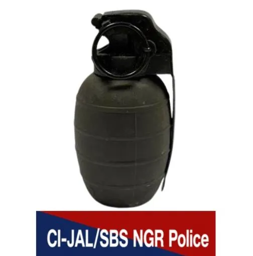 पंजाब पुलिस ने आईएसआई-समर्थित बब्बर खालसा इंटरनेशनल के आतंकी मॉड्यूल का भंडाफोड़ किया