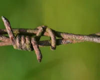 हथियार लेकर आ रहे पाकिस्तानी आतंकवादी के नियंत्रण रेखा पर उड़े परखच्चे