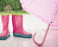 केरल में मानसून की शुरुआत में होगा थोड़ा विलंब, इस तारीख को दस्तक देने की संभावना