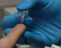 वैज्ञानिकों ने भी माना, मधुमेह में बहुत फायदेमंद हैं ये जड़ी-बूटियां