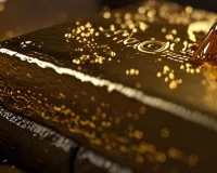 सबरीमाला सोना मामला: एसआईटी ने बेंगलूरु और बल्लारी में छापेमारी की