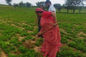 साल 2050 तक दुनिया को 60% ज्यादा खाद्यान्न उत्पादन करना होगा, एआई बनेगी बड़ी ताकत