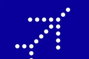 इंडिगो ने सीईओ के 'संचालन स्थिर' होने के दावे के बावजूद बेंगलूरु से 60 से ज्यादा उड़ानें रद्द कीं