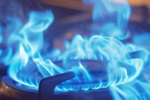 सरकार ने घरेलू एलपीजी की निरंतर आपूर्ति सुनिश्चित की, कहा- घबराकर बुकिंग करने की कोई जरूरत नहीं