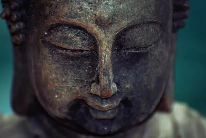 शांति, सह-अस्तित्व एवं मुक्ति का मार्ग प्रशस्त करता बौद्ध दर्शन
